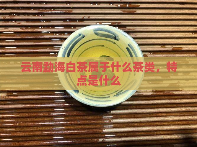 云南勐海白茶属于什么茶类
