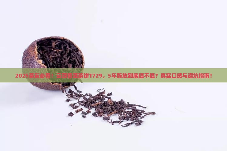 云顶普洱茶饼1729