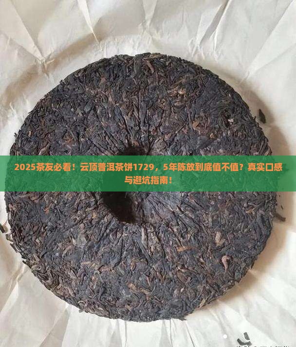 云顶普洱茶饼1729