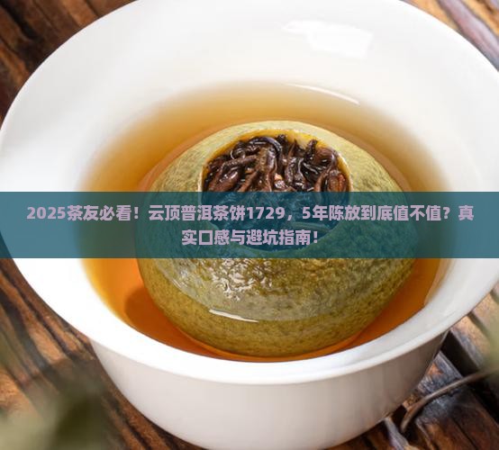 云顶普洱茶饼1729