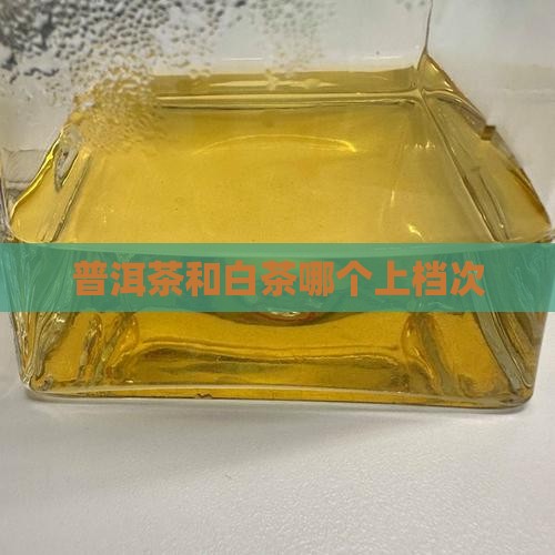 普洱茶和白茶哪个上档次