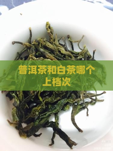 普洱茶和白茶哪个上档次
