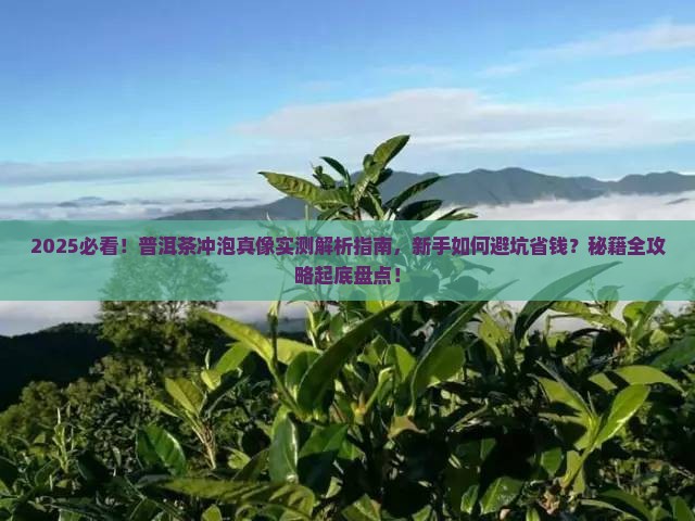挑战冲泡普洱茶