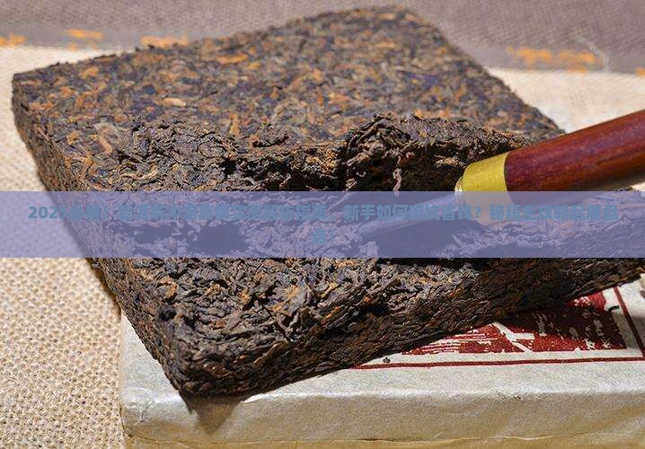 挑战冲泡普洱茶