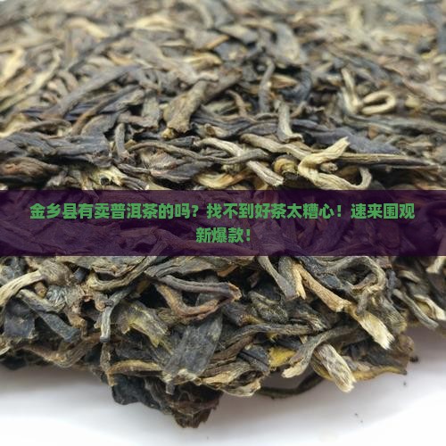 金乡县有卖普洱茶的吗吗
