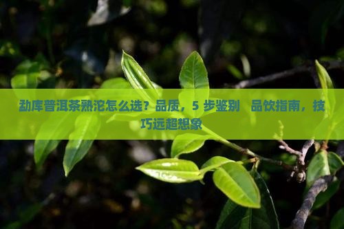 勐库普洱茶熟沱