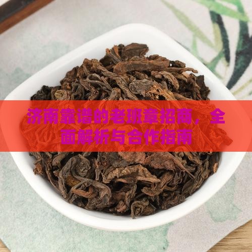 济南靠谱的老班章招商