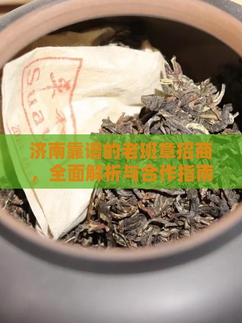 济南靠谱的老班章招商