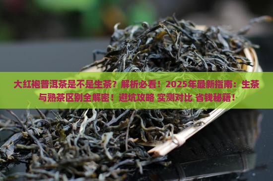 大红袍普洱茶是不是生茶