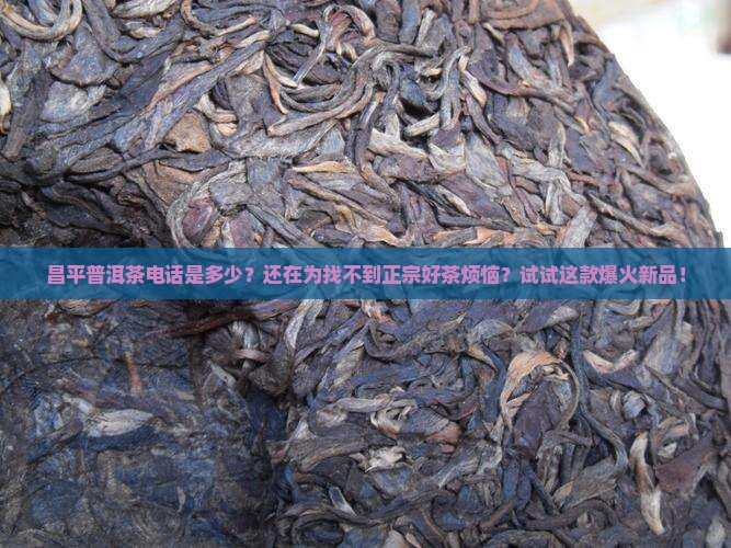 昌平普洱茶电话