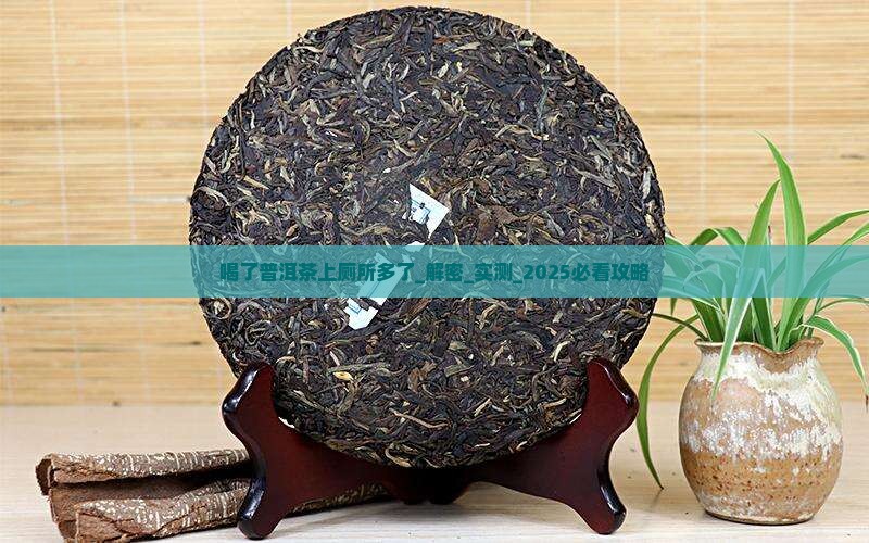喝了普洱茶上厕所多了