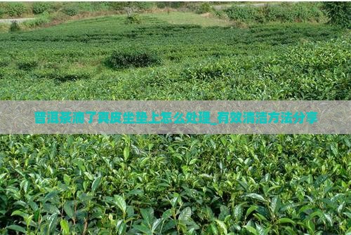 普洱茶滴了真皮坐垫上