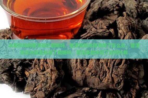 冰箱窜味的普洱茶还能喝吗