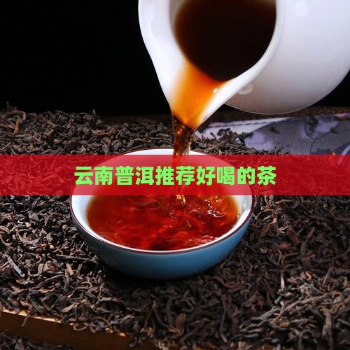 云南什么茶好喝一点