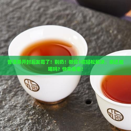 普洱茶开封后发霉了