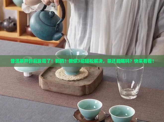 普洱茶开封后发霉了
