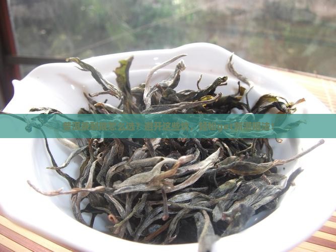 普洱茶的10大常见问题