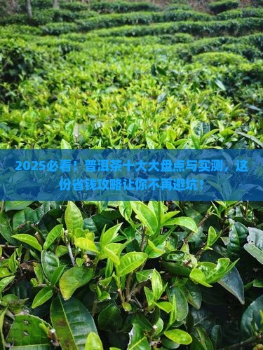 普洱茶十大品牌是什么