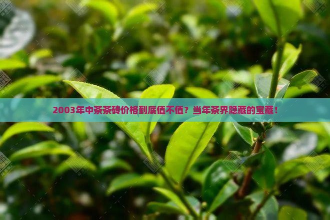 2003年中茶茶砖价格