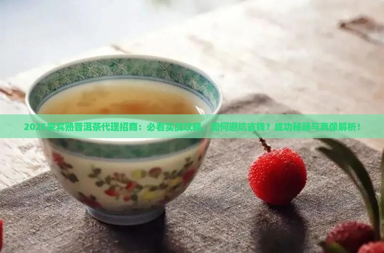 来宾熟普洱茶代理招商