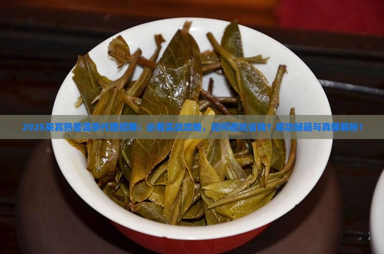 来宾熟普洱茶代理招商