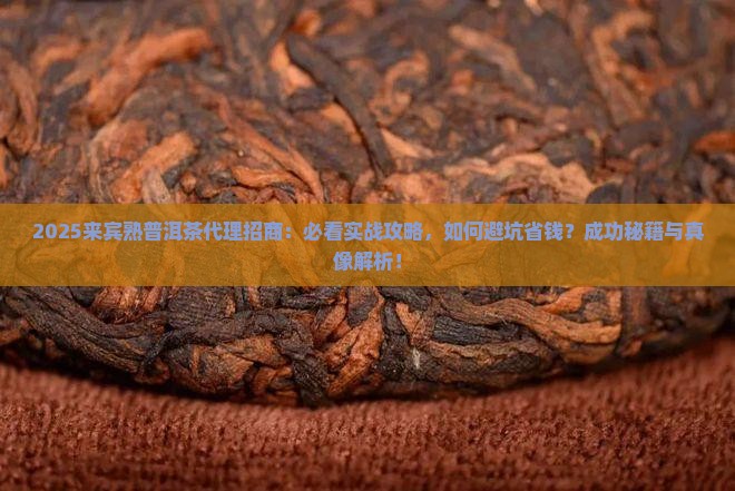 来宾熟普洱茶代理招商