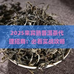 来宾熟普洱茶代理招商