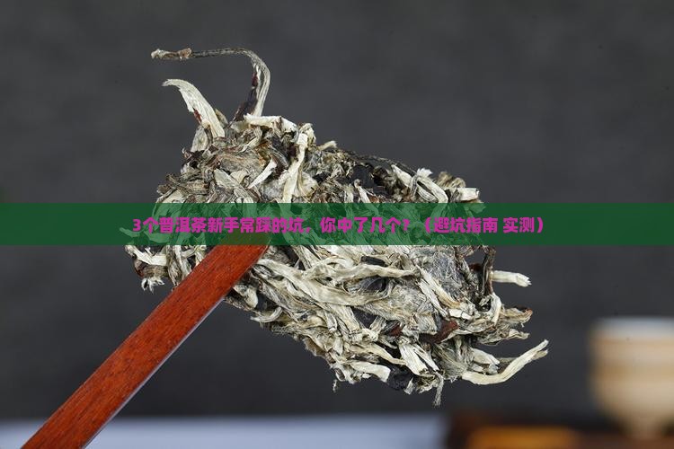 普洱茶品牌1测试