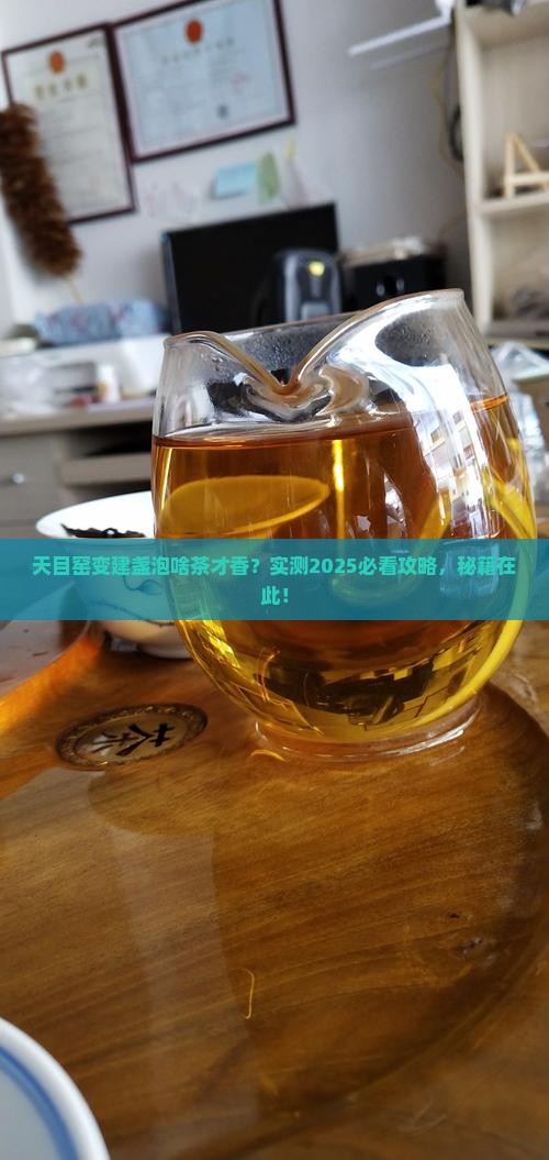 天目窑变建盏泡什么茶好喝