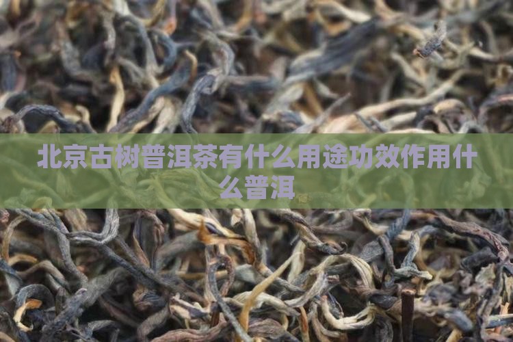 北京古树普洱茶有什么用途