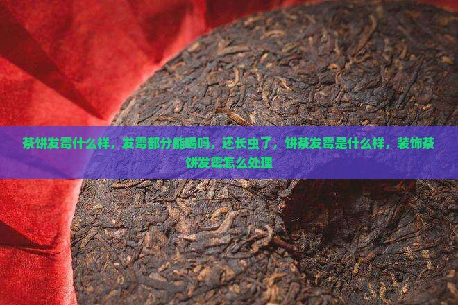 茶饼发霉什么样