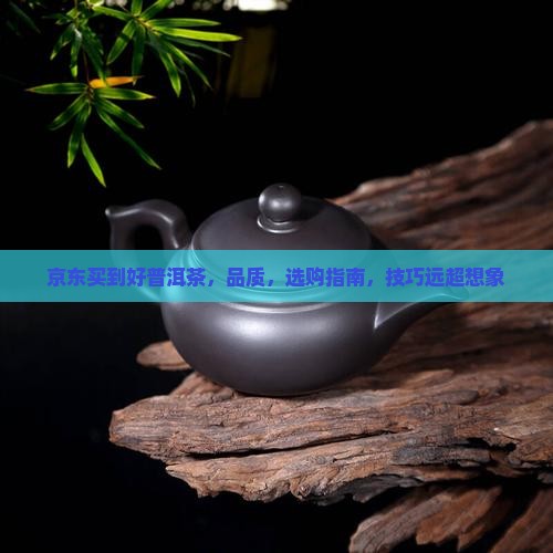 京东买到好普洱茶