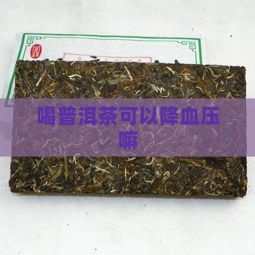 喝普洱茶可以降血压嘛