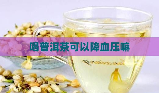 喝普洱茶可以降血压嘛