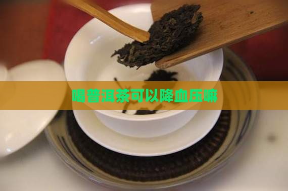 喝普洱茶可以降血压嘛