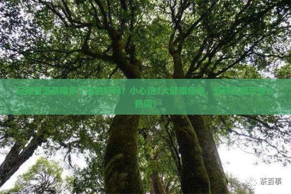 云南普洱茶喝多了好吗