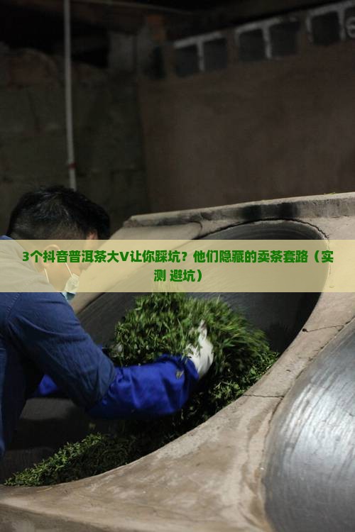 抖音普洱茶的大v