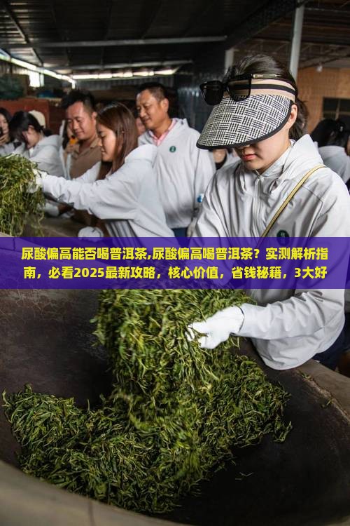 尿酸偏高能否喝普洱茶