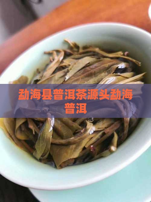 普洱茶源头勐海县城