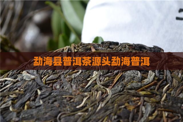 普洱茶源头勐海县城