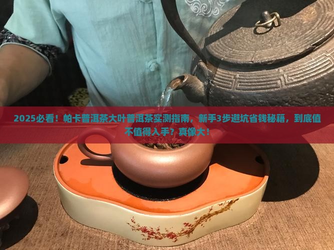 帕卡普洱茶大叶普洱茶