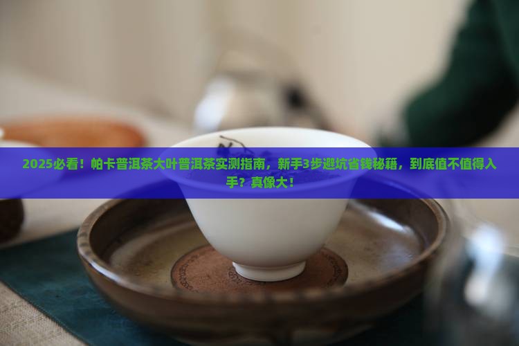帕卡普洱茶大叶普洱茶