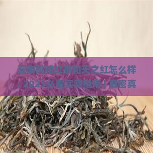 云南凤牌红茶和天之红怎么样