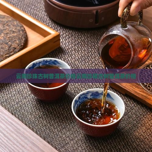 云南珍珠古树普洱茶价格