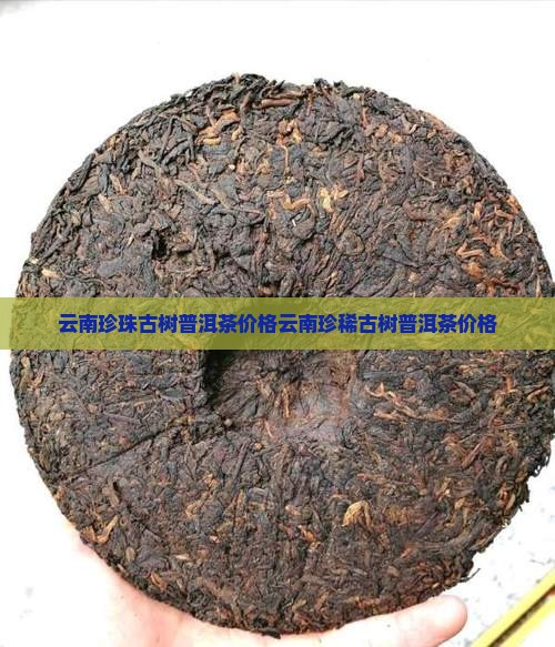 云南珍珠古树普洱茶价格