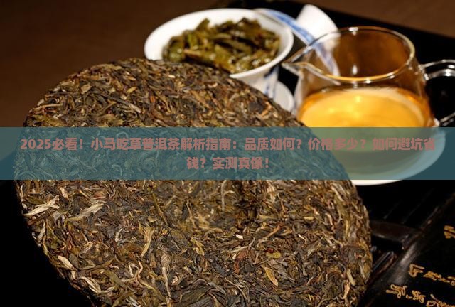 小马吃草普洱茶怎么样