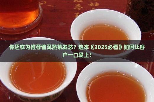 如何向客户推介普洱茶熟茶