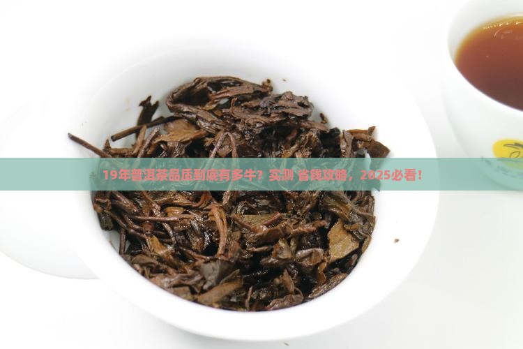 19年普洱茶品质非常好吗