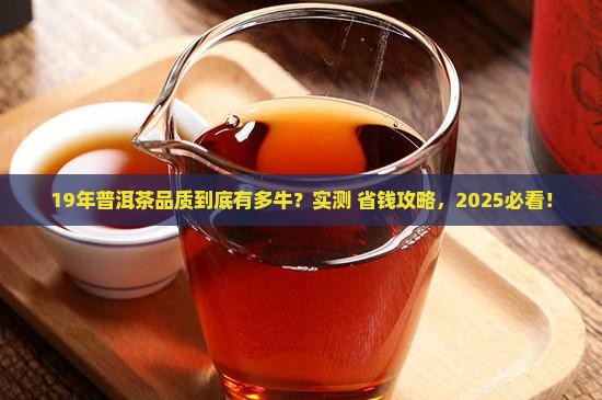 19年普洱茶品质非常好吗