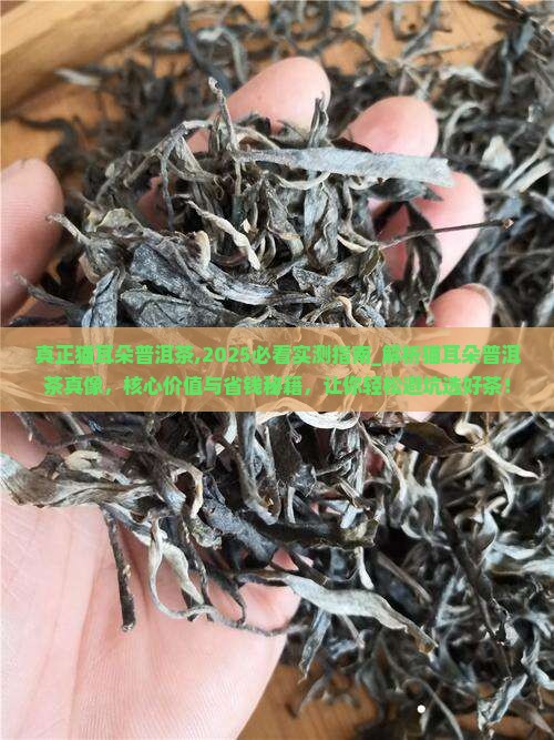 真正猫耳朵普洱茶